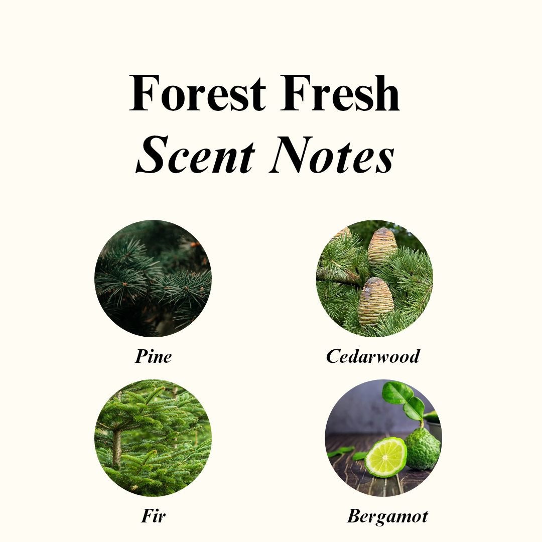 Forest Fresh Scented Candle (Glass)