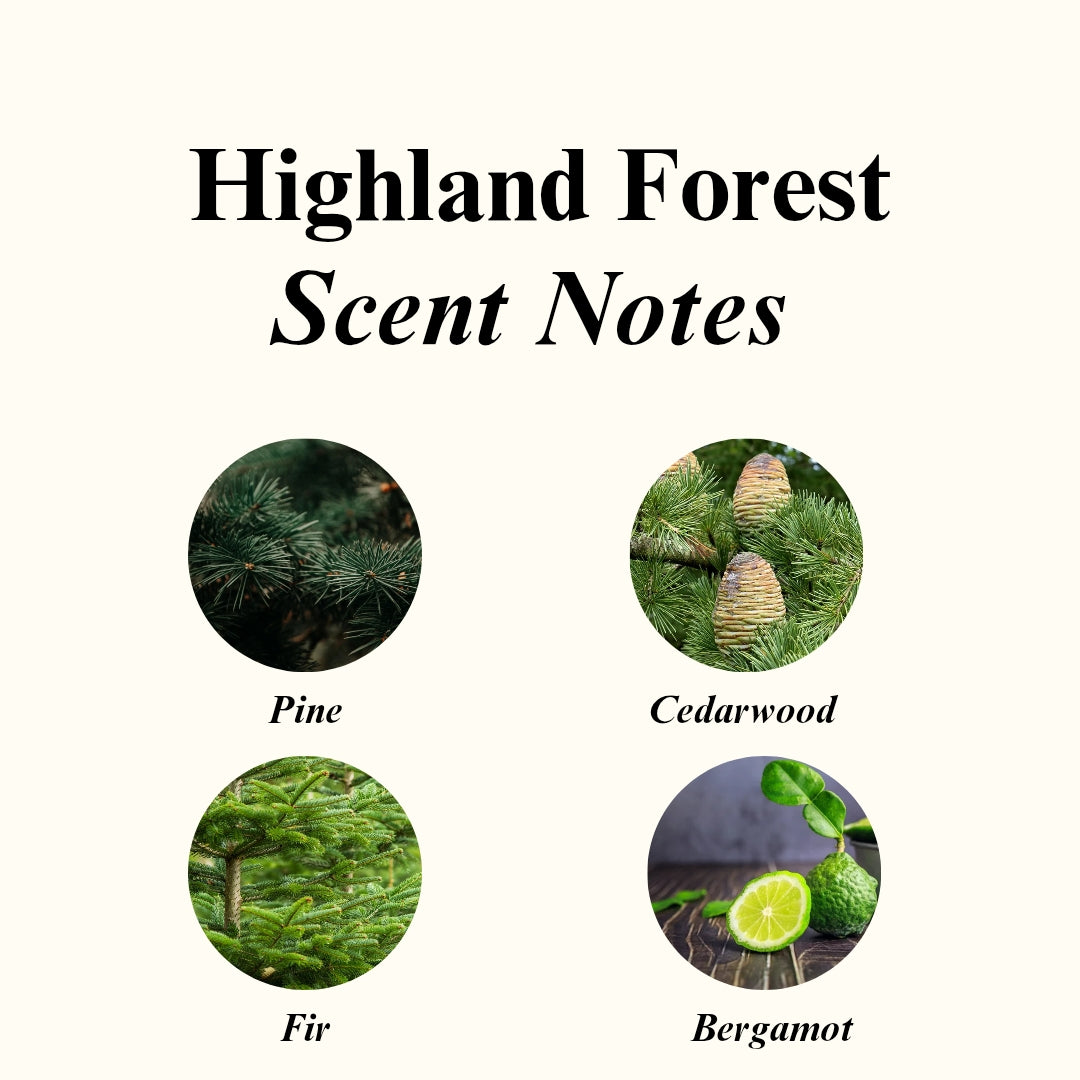Highland Forest Scented Candle